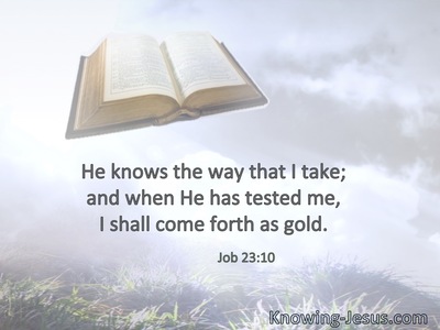 He knows the way that I take; when He has tested me, I shall come forth as gold.